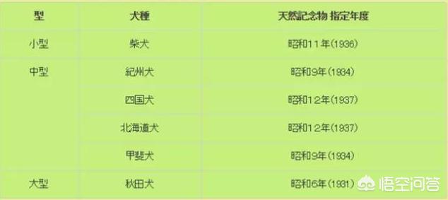 柴犬世界上最丑的狗:柴犬掉毛后会变丑吗？如果变丑了该怎么办？