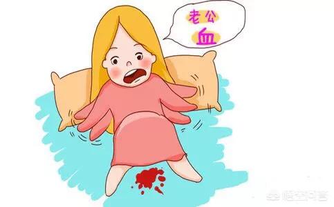 松狮狗生产前的预兆:准妈怎样辨别什么时候要分娩？