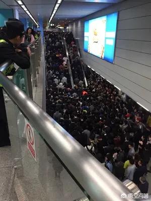 小金鱼图片:男子带金鱼上地铁被拦，把鱼倒在地上，金鱼为什么不能乘？