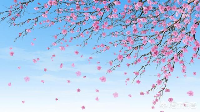 “自在飞花轻似梦,无边丝雨细如愁”这句诗哪位诗人写的？