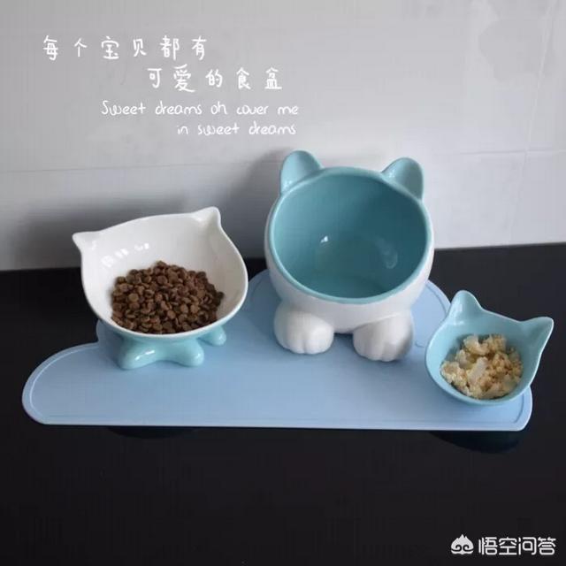 小猫回家:刚抱回家小猫咪该注意什么？