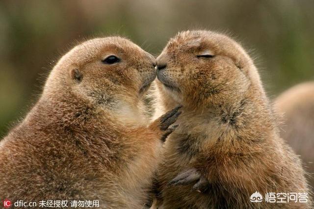 <a href=https://maguai.com/list/256-0-0.html target=_blank class=infotextkey>朋友圈</a>情侣评价:分手后不删除也不拉黑，还会点赞评论<a href=https://maguai.com/list/256-0-0.html target=_blank class=infotextkey>朋友圈</a>是什么心理？(分手女友还点赞你<a href=https://maguai.com/list/256-0-0.html target=_blank class=infotextkey>朋友圈</a>)