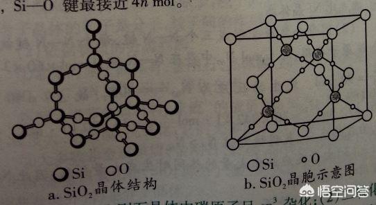 头条问答 - 普通牙套有没有可能被食物里的酸或者其他物质腐蚀?