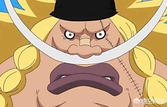 海贼王中蛋蛋男爵夏洛特大福vs白胡子二世有没有机会打赢