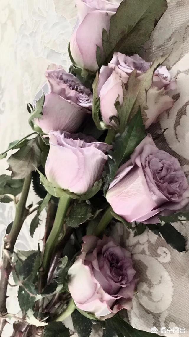 怎么委婉的跟别人要联系方式