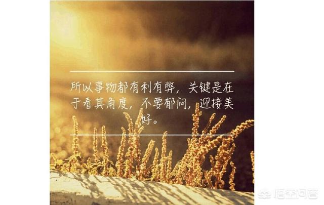 头条问答 为什么人失恋的时候 会变成诗人呢 17个回答