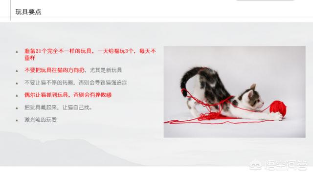 不爽猫玩偶:猫咪为什么总喜欢把桌上的东西推下去？