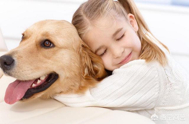 我做女犬的开心日子5:狗狗一生分为几个阶段，你觉得饲养中需要注意什么？