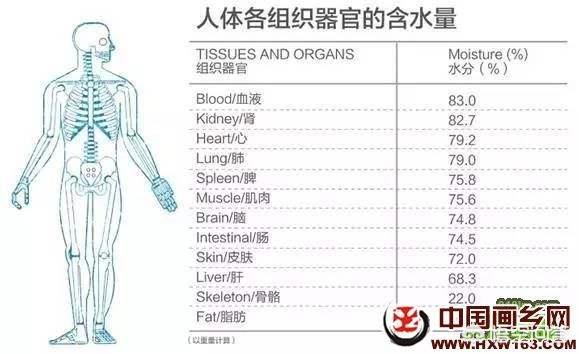 头条问答 人体内的水分占多少百分比(6个回答)