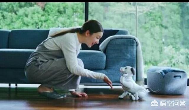 导盲犬价格:基于人工智能的导盲机器犬对盲人一族意味着什么？