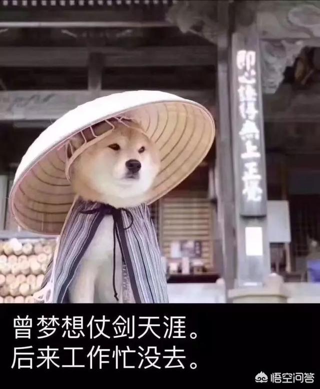 九天应元雷声普化天尊,白素贞背后黎山老母,打谁厉害？