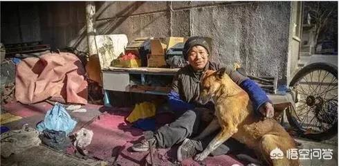 忠心大黄狗护主八年:有没有罗威纳犬护主的真实案例？
