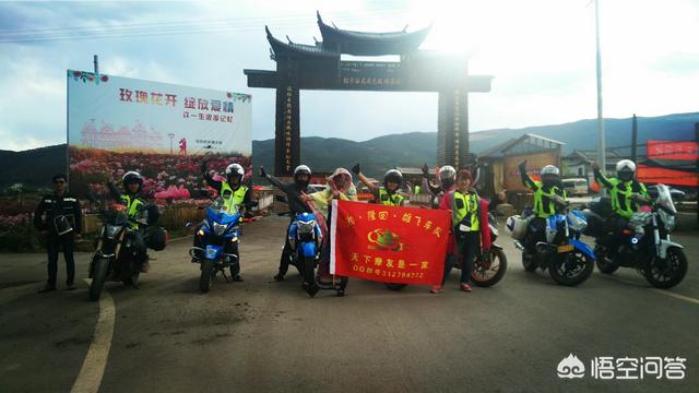 丽江蔷薇花什么时候开:丽江最佳旅游时间是什么时候？