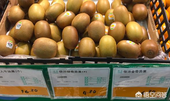 奇异果发源地在哪里，为什么本是一家果的猕猴桃和奇异果，价格差异却那么大