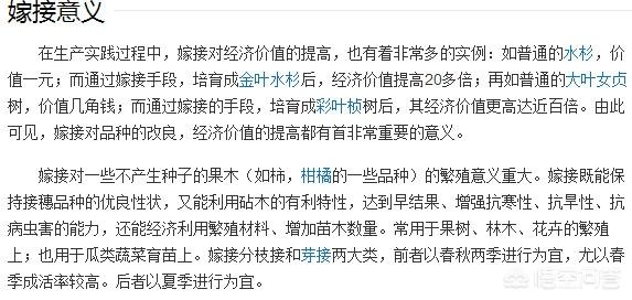 什么树可以嫁接在栀子花树上？
