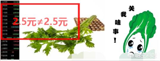 足球开户网:闲钱20万，投资什么可以年净收入6万？