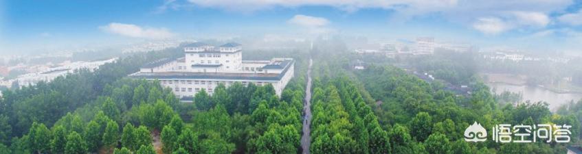 陈宗兴:武汉生物工程学院怎么样？
