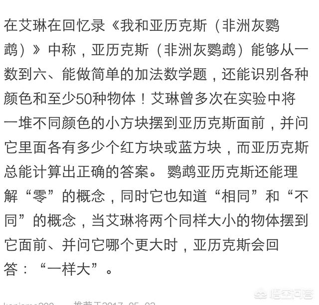 儿童鸵鸟图片:鸵鸟养殖在中国有前途吗？