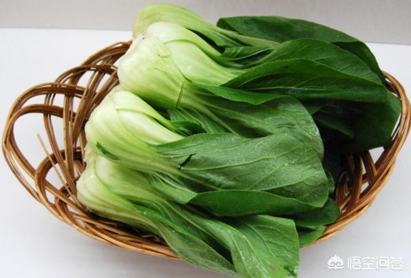 上海青和油菜的区别,油菜和小青菜是同一个品种吗？
