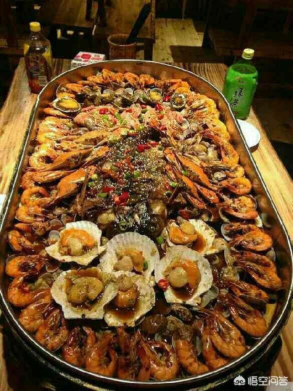 狗食馆:出远门，把狗寄养了，店员不给狗吃饭，怎么办？