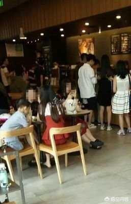 圣诞节狗狗咖啡厅推文:星巴克推出宠物友好门店，你看好吗？