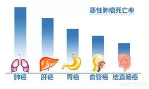 徐婷癌症:澳大利亚宣布战胜癌症是真是假？