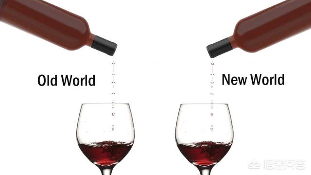 红酒的起源，葡萄酒的新世界和旧世界是怎么划分的