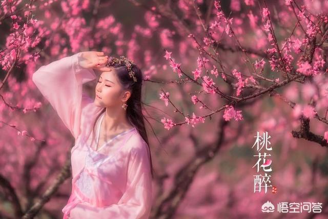 花儿很美,诗也很美,关于那些带花的诗词,你最喜欢哪一句？