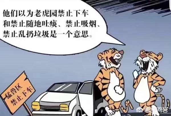 老虎伤人事件:八达岭动物园老虎伤人案后续进展如何？ 老虎伤人事件赵菁完整视频