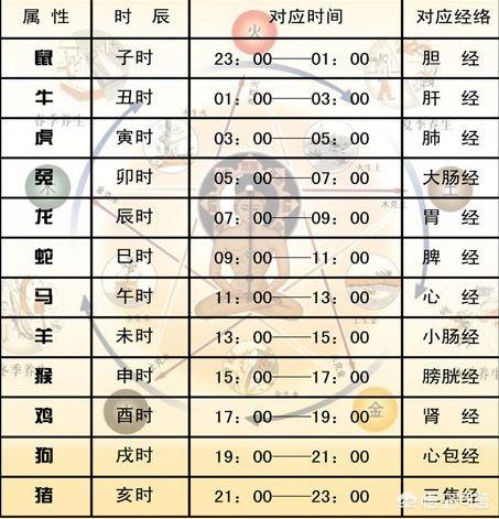 十二生肖前面的一个字(比如子,丑,寅等)为什么和时间有关？
