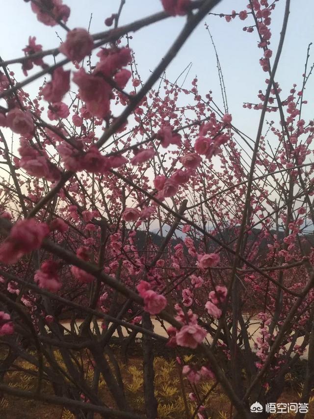 伴侣的哪些话会让你有暖暖的幸福感呢？