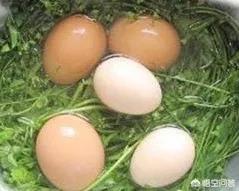 农历三月初三有什么习俗？