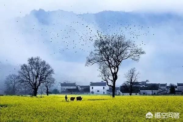 怎样才能让人变得积极向上(怎么让自己变得极向上)