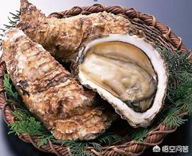 超市贝壳类海鲜很多,如何进行区别？哪些比较好吃不贵？