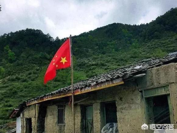 现在什么样的慈善机构是真正做慈善事业的？