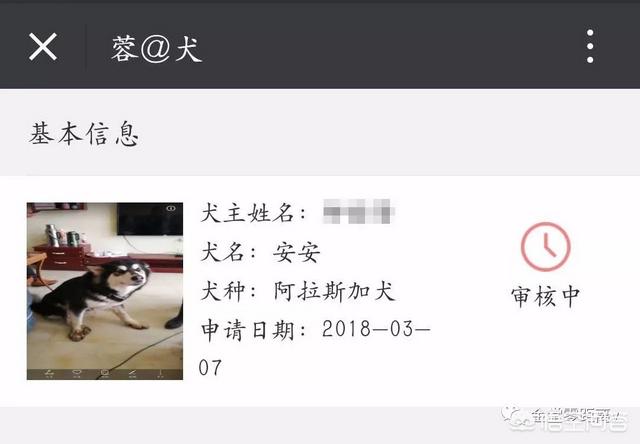 成都英斗犬:成都把中华田园犬列为22种禁养犬之一，你怎么看？