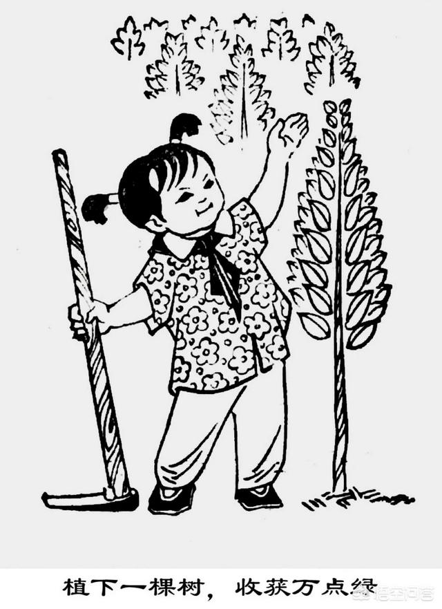 目前在中国,包括植树节种植的树木,包括国家三北绿色长城,退耕还林等