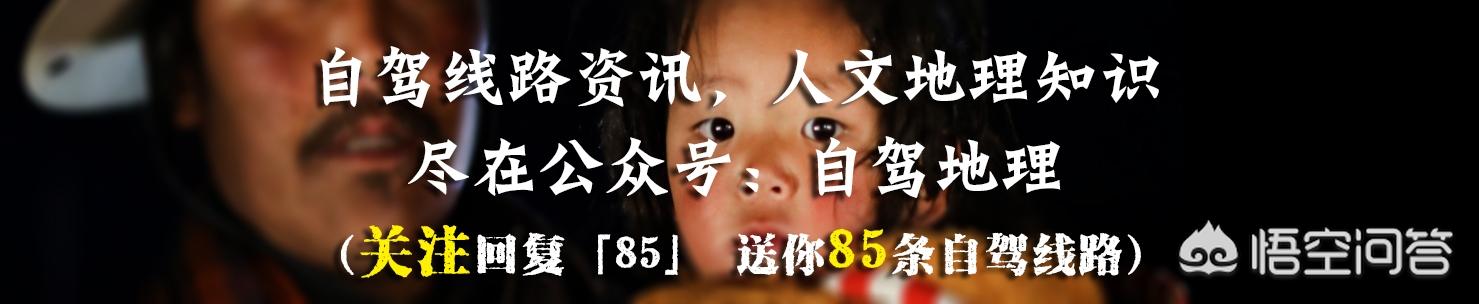 桃花水母现身云南:春天到了，开始春游了，你有哪些可以推荐的好玩的踏春地点