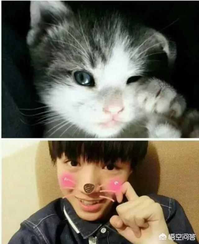 疯猫网络的演员:岳云鹏被女子网络声讨，称其骗婚。你认为有没有幕后主使？