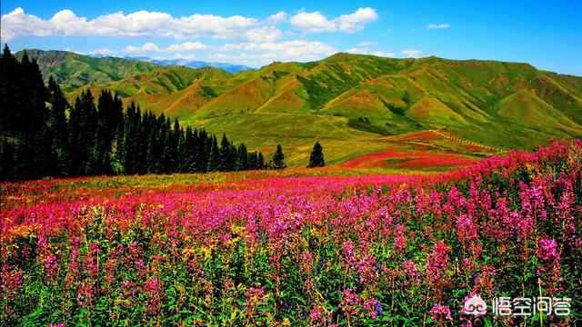 新疆有哪些神秘的地方，新疆的夏尔西里这么美，为什么很少人知道
