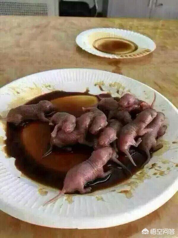 这样的食谱你敢挑战吗？