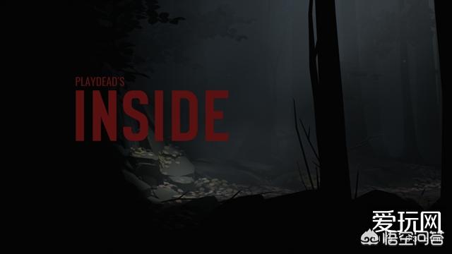 如何评价地狱边境团队的新作Inside？-第2张图片-9158手机教程网