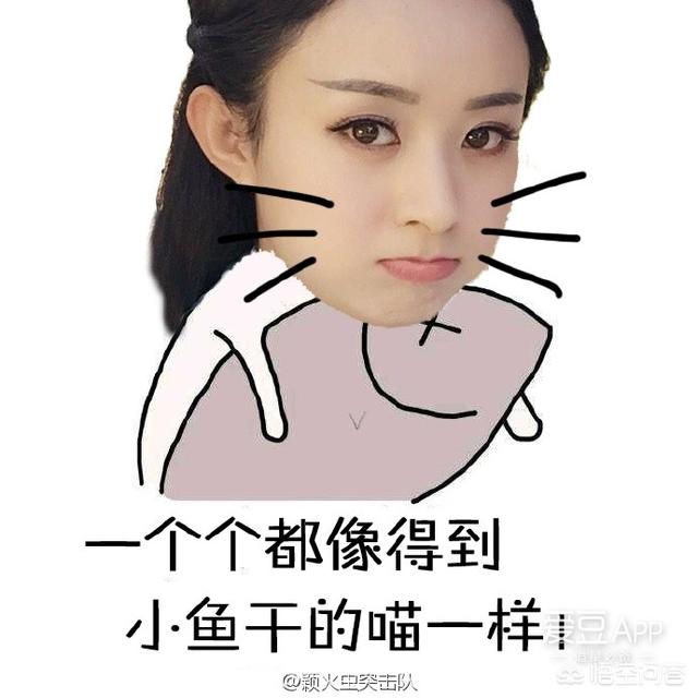你有哪些常用的明星表情包？