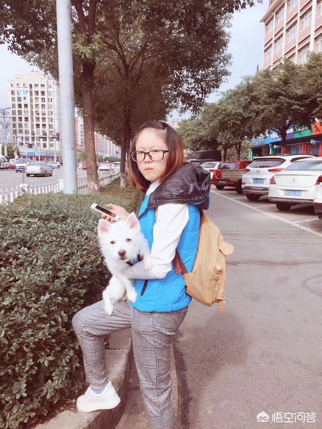 玉林荔枝狗肉节由来:广西玉林为什么要办一个狗肉节？ 玉林的狗肉节的来历