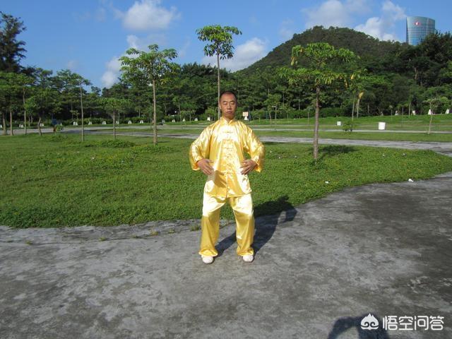 太极雀不飞是什么:太极雀不飞 练武需要什么天赋，才能登峰造极，成为一代宗师？