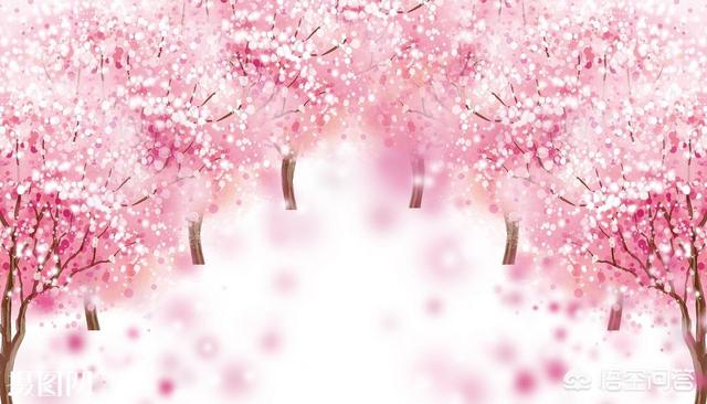 头条问答- 有哪些好用的手机p图APP软件？推荐一下？(141个回答)