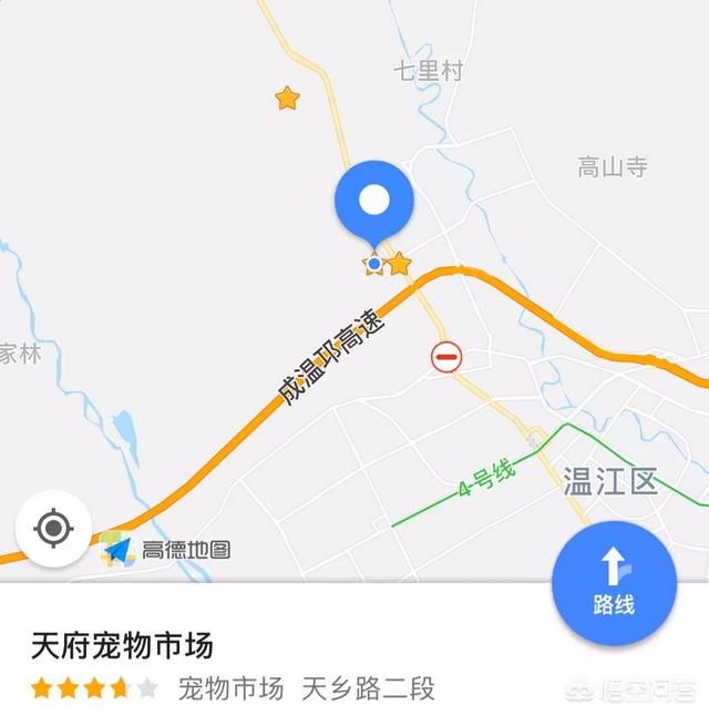 狗狗音乐网乐乐论坛:怎样给自己的狗狗取名字？