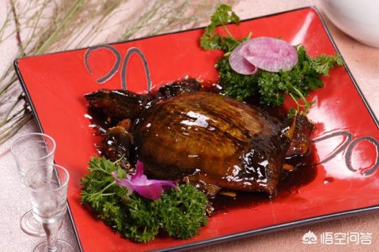 甲鱼怎么做补肾，浙江宁波的名菜“冰糖甲鱼”该怎么做