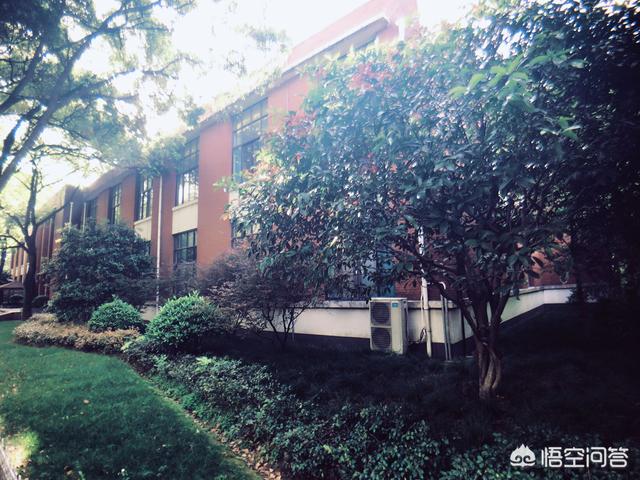 上海有哪些著名的大学？