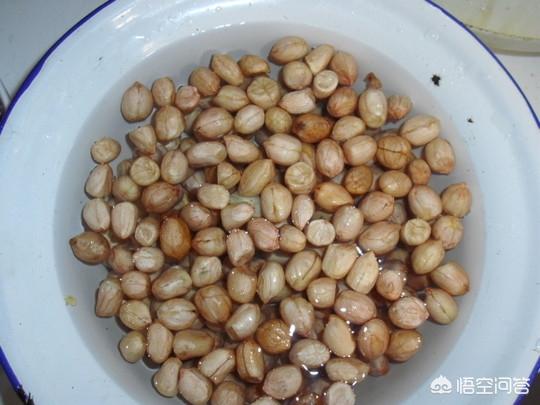 头条问答 花生泡水后油脂去了哪里 血脂高的人可以吃泡水的花生吗 7个回答